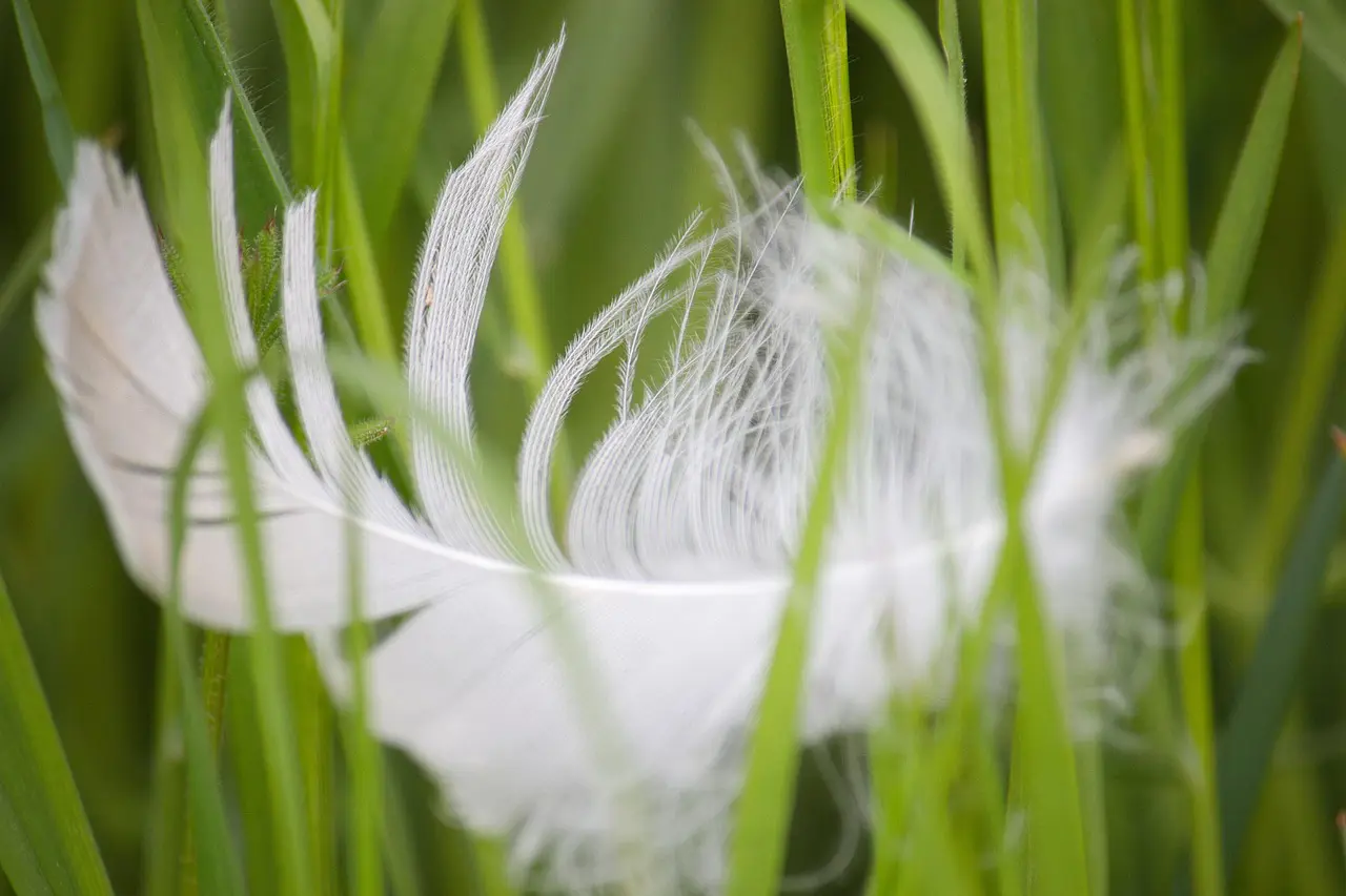 Coachverktyg för din personliga utveckling