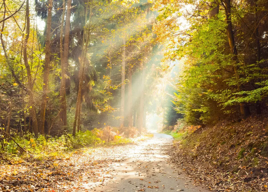 Må bra – utan att göra mer