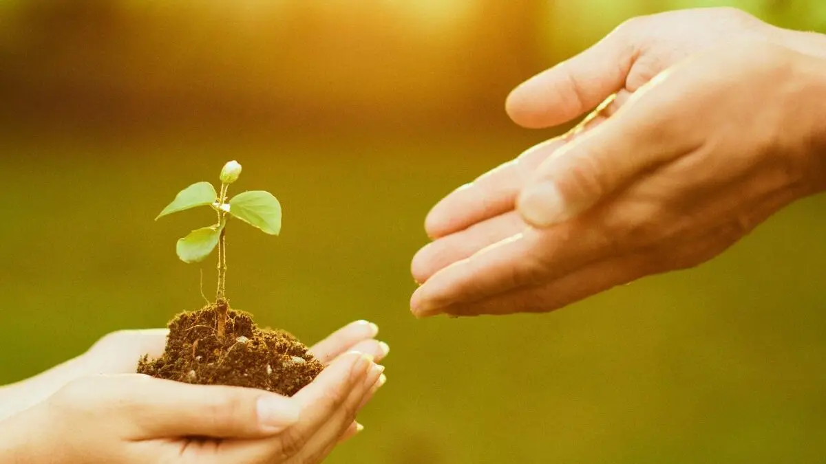 Coaching och meningen med livet