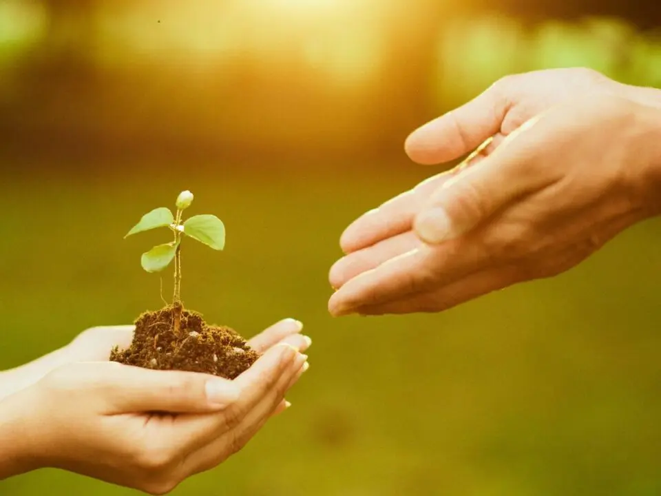 Coaching och meningen med livet