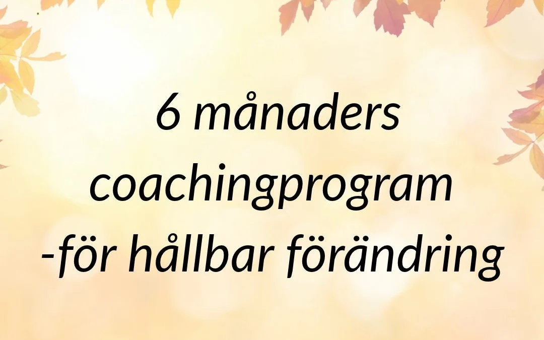 6 mån coachingprogram - för hållbar förändring